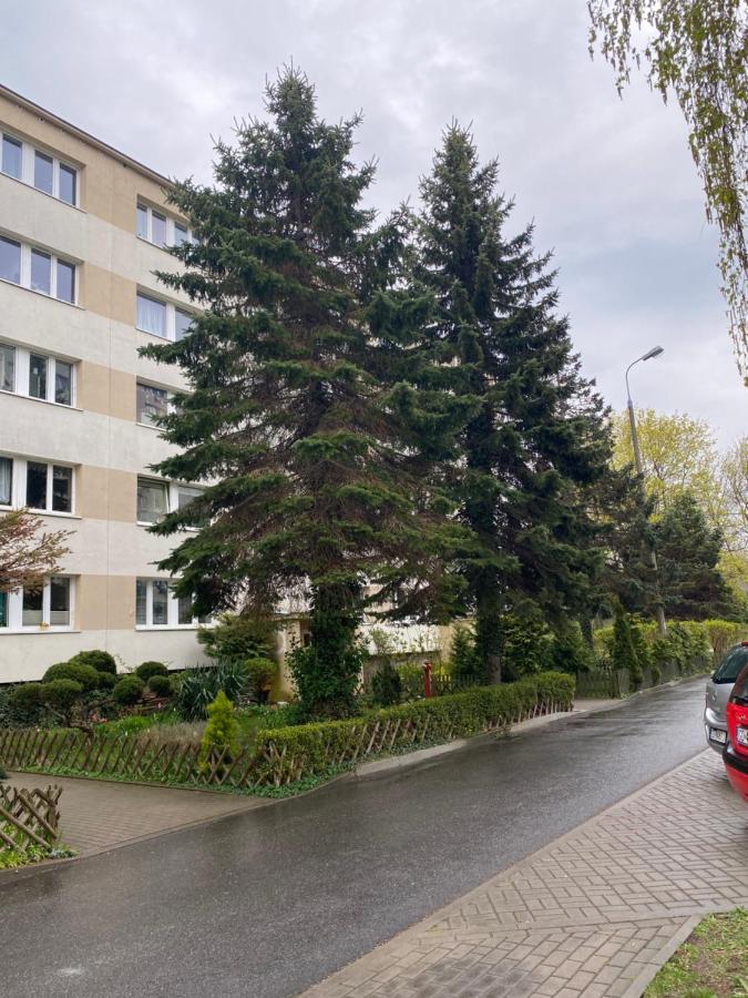 Apartament Skipper Huoneisto
